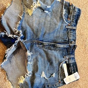 BRAND NEW ABERCROMBIE CURVY HIGH RISE SHORTS 29